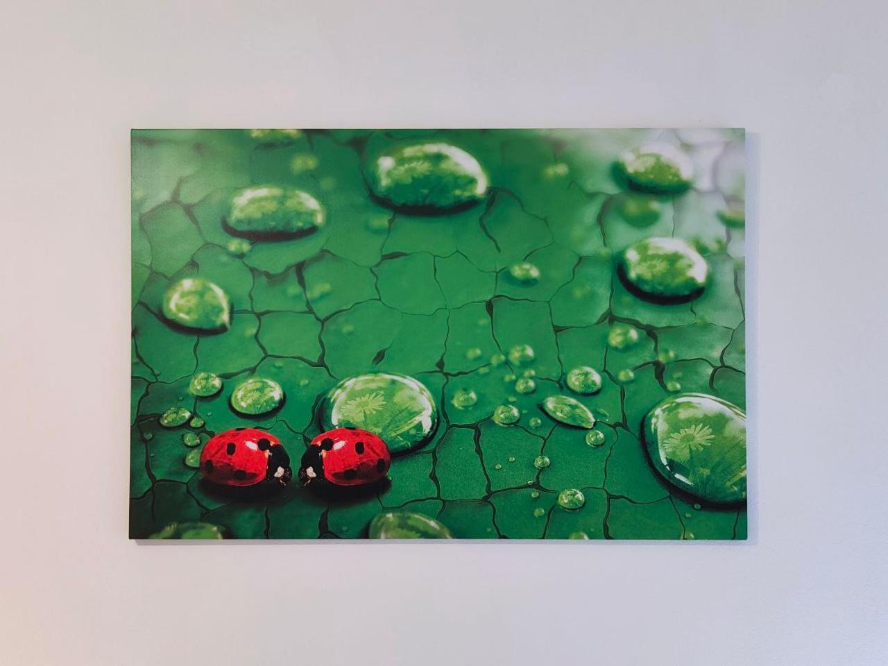 La Coccinella Di Susa Перджине-Вальсугана Екстер'єр фото